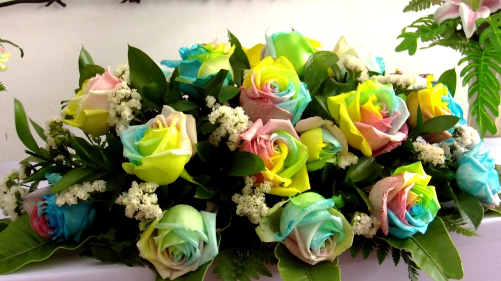 7 colour roses