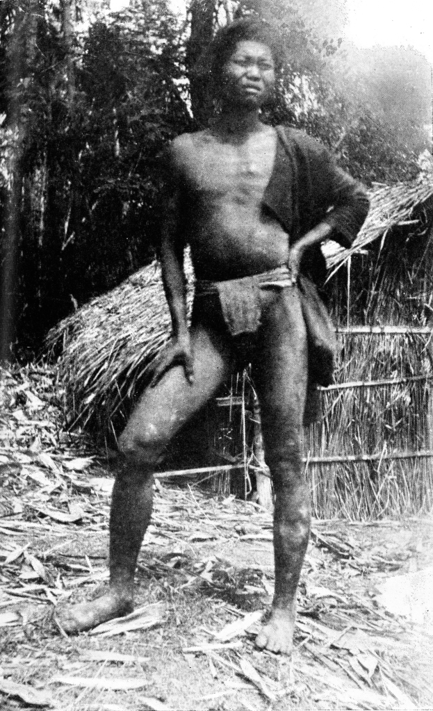 A wild Wa, 1898
