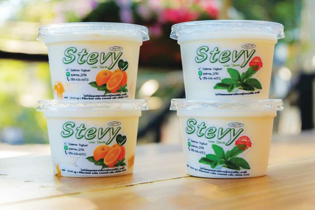 stevy yoghurt