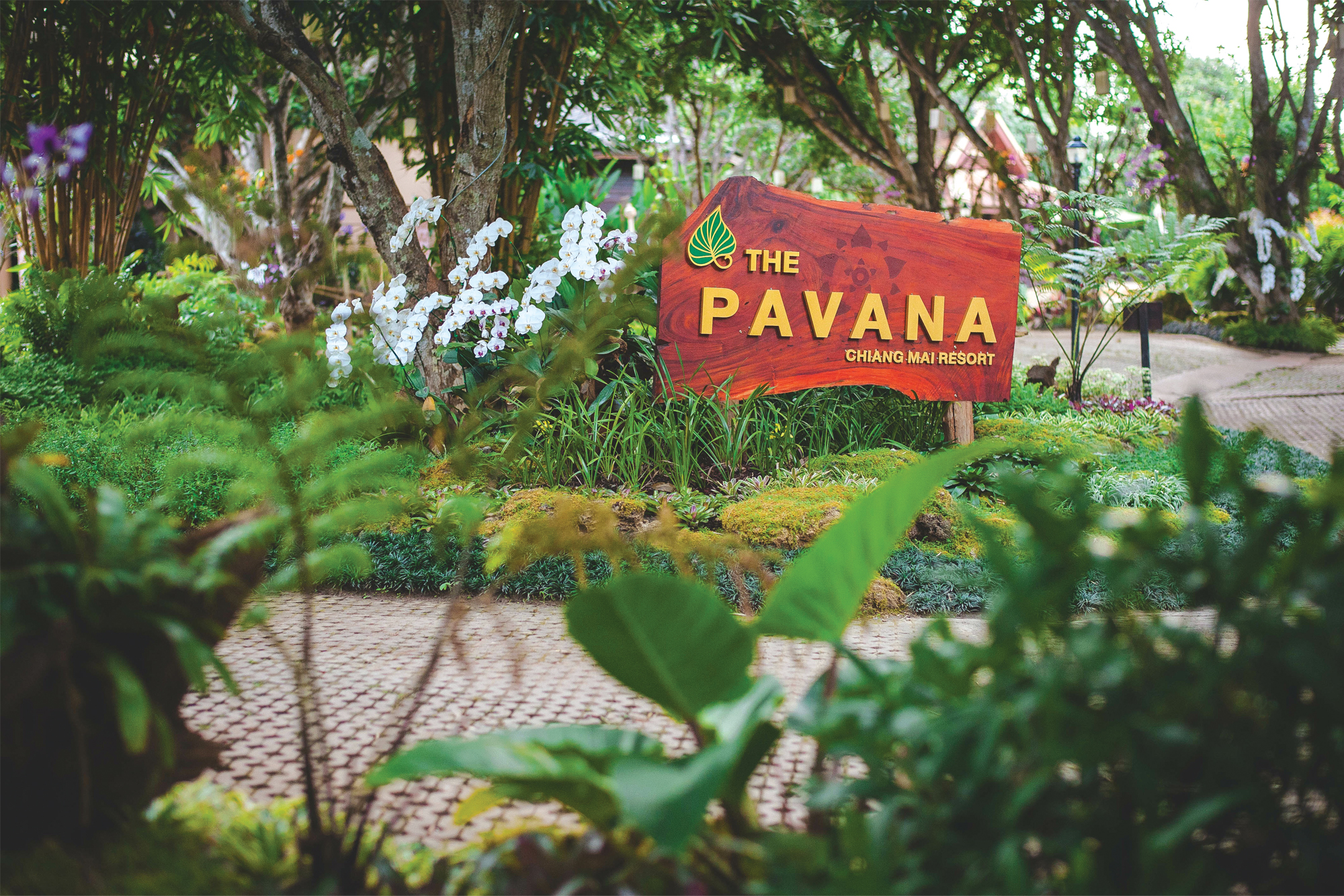 pavana