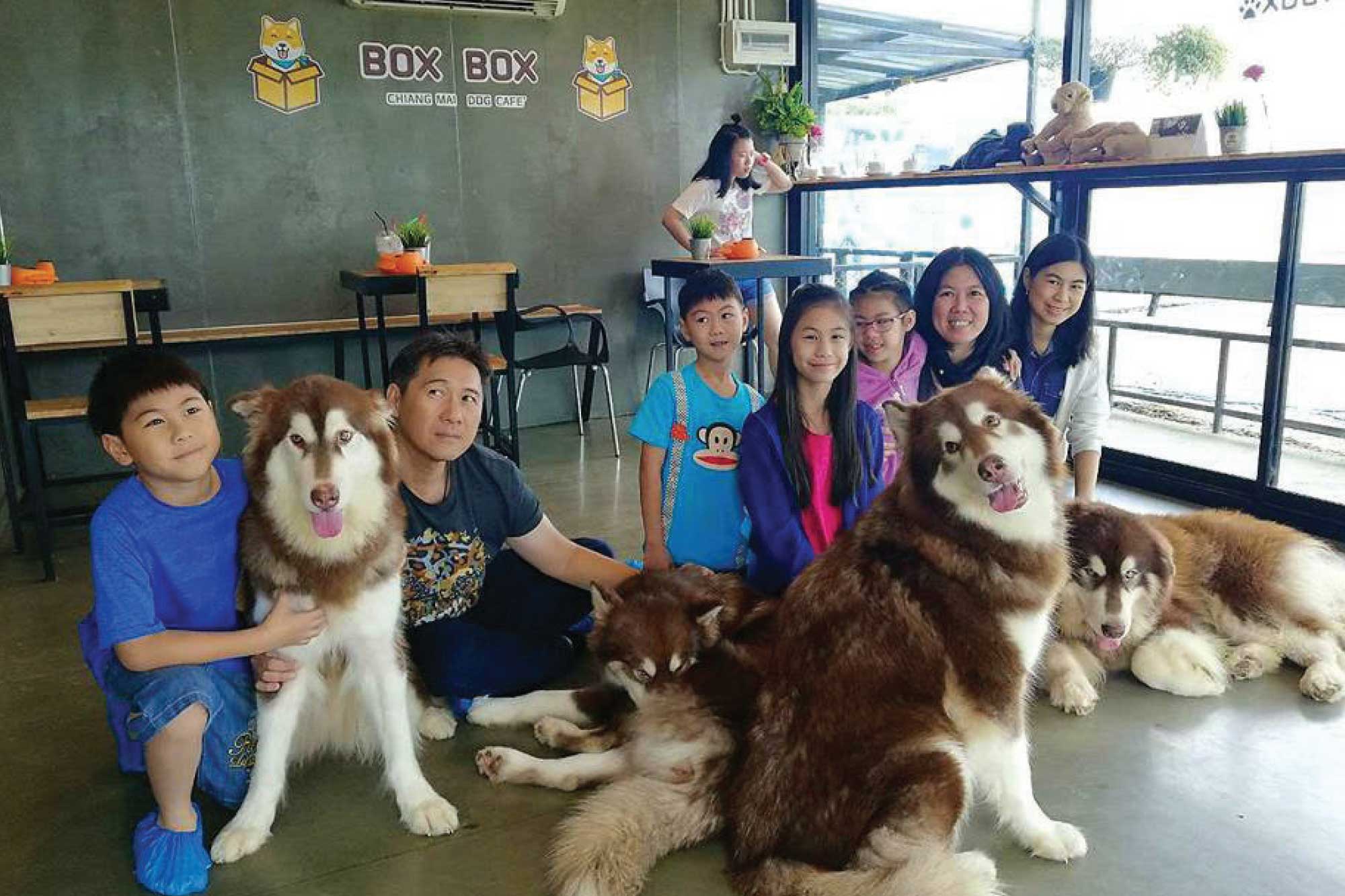 Chiang Mai Citylife Petting Cafés