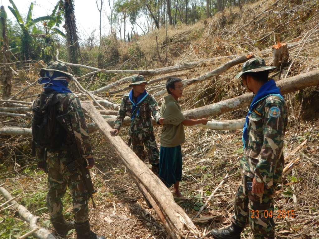 tresspass forest