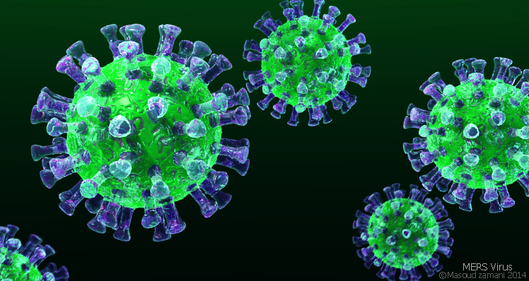 Mers-virus-3D-image