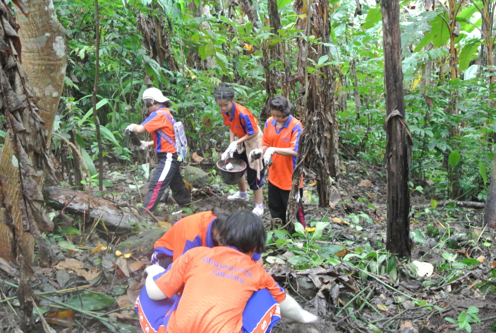 forest conservation 2