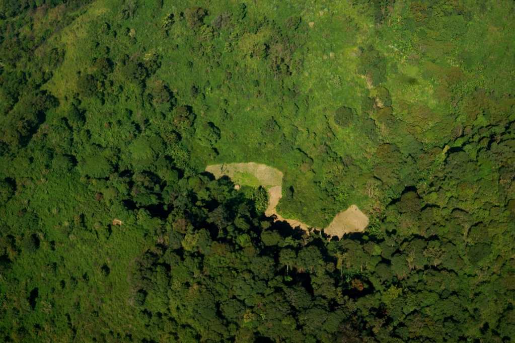 opium fields