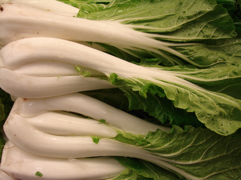 pak choi