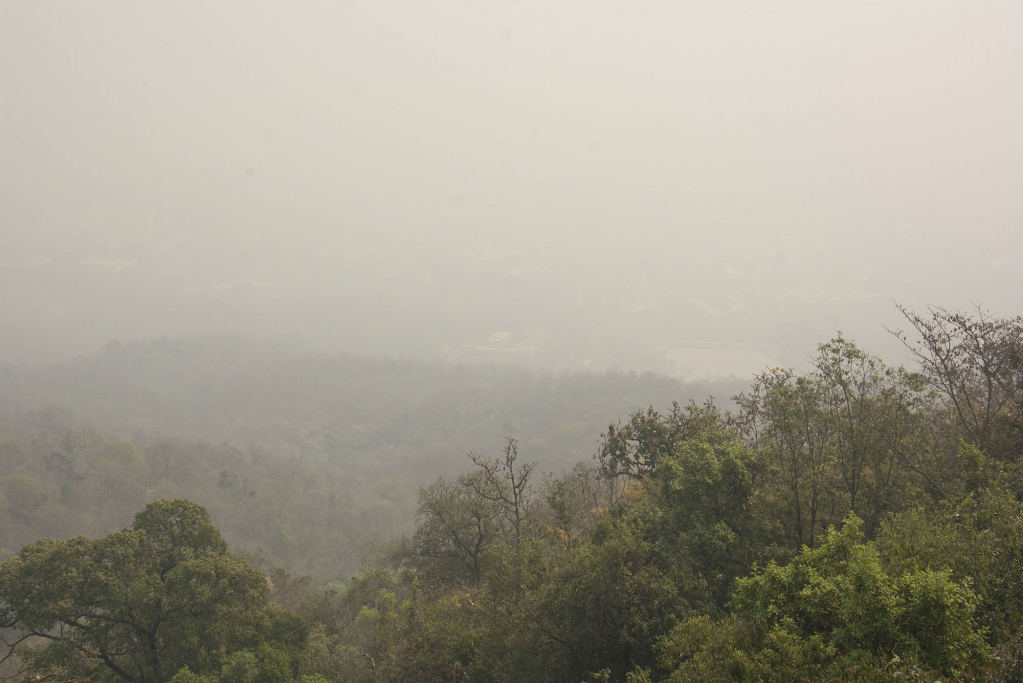 Pollution Problem