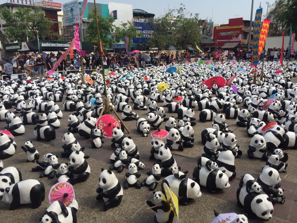 panda flash mob