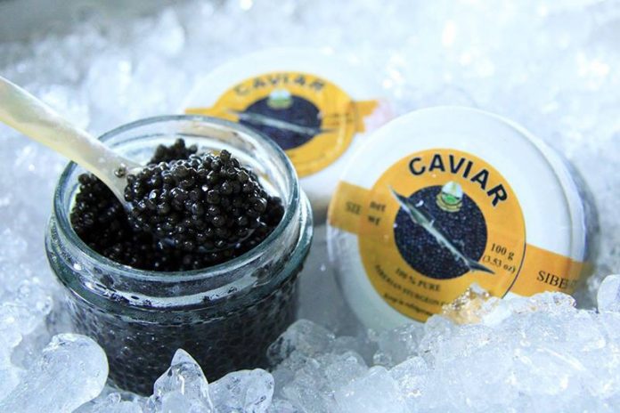 caviar