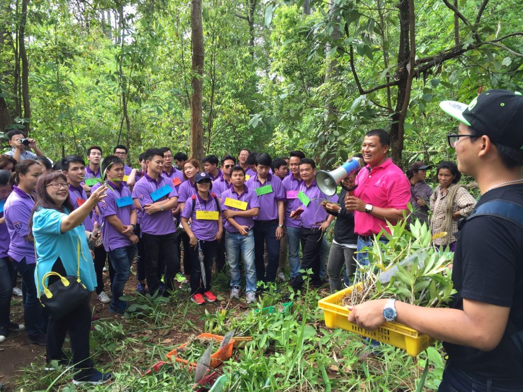 orchid planting