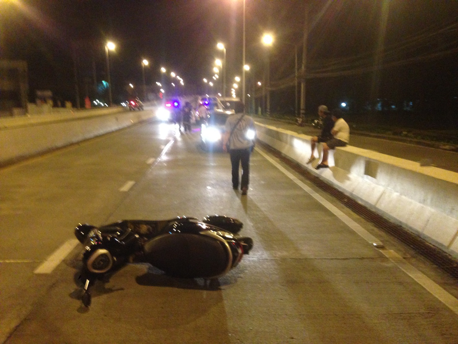 burmese crash