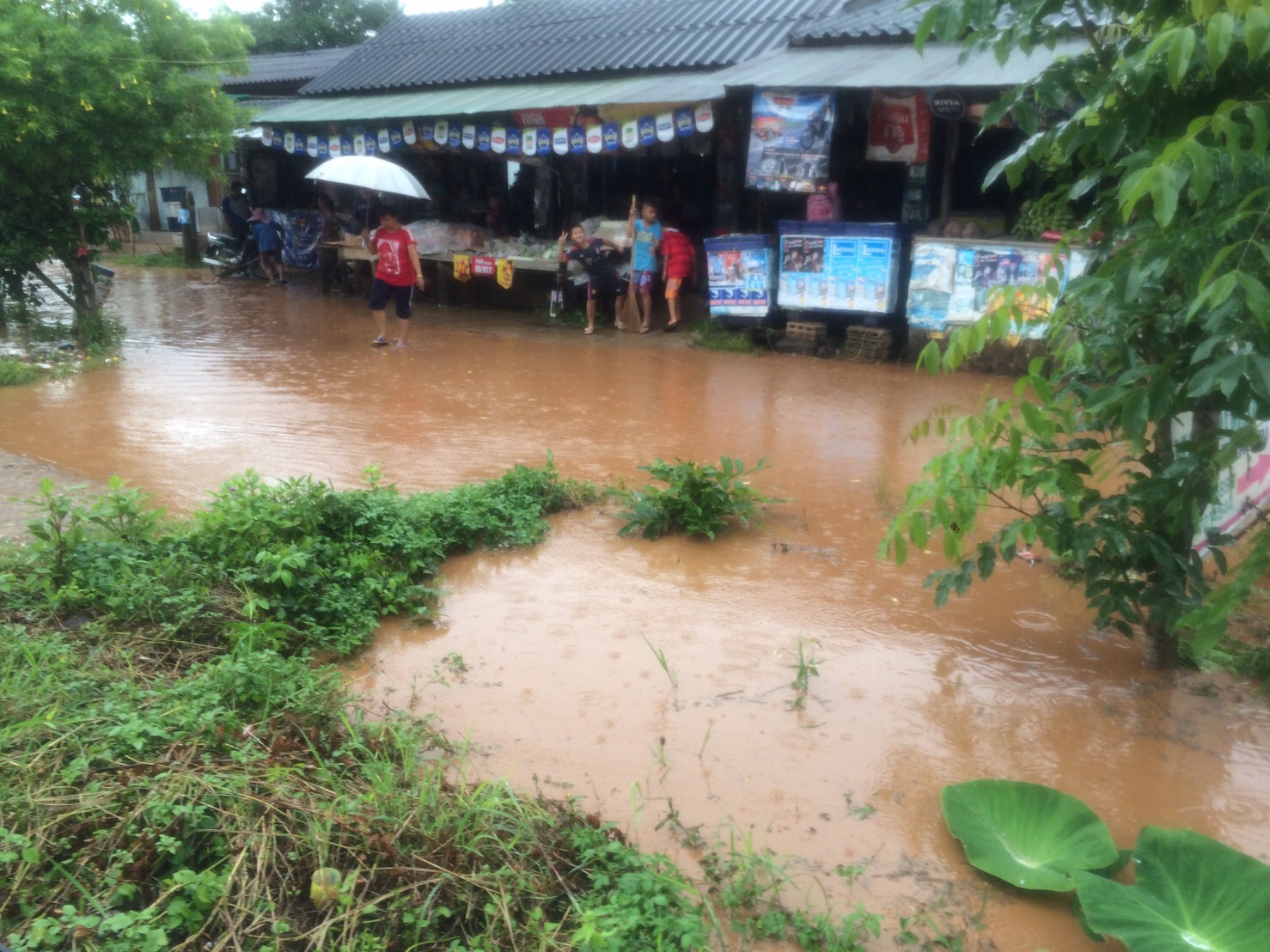 flood in chiang dao