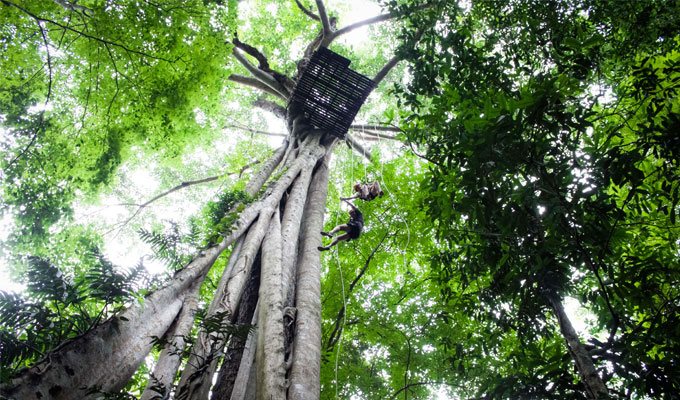 abseiling-chiang-mai