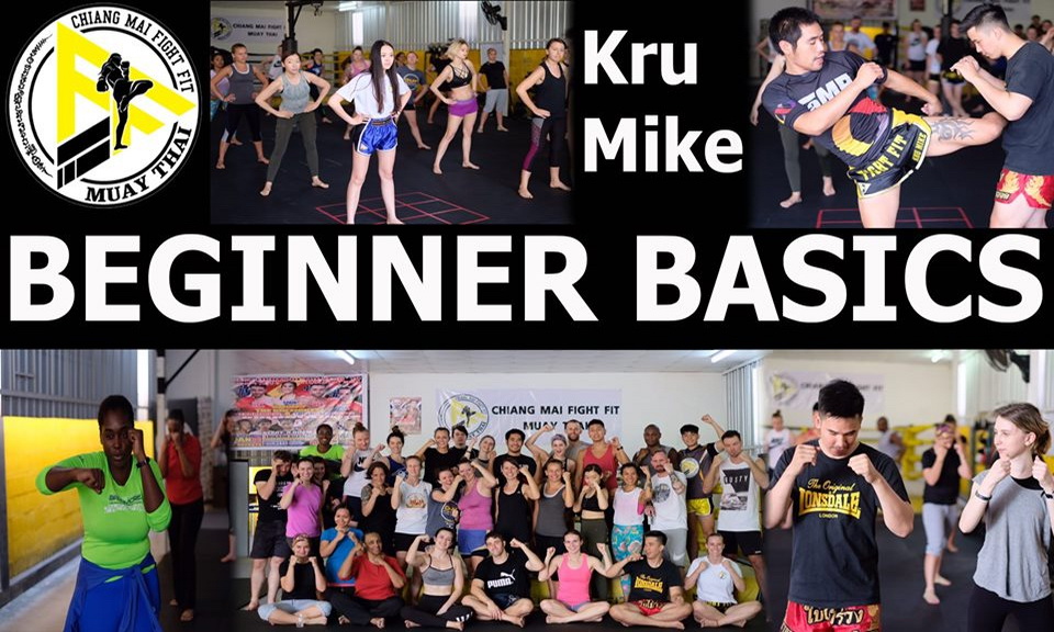 Free Beginner Basics Seminar