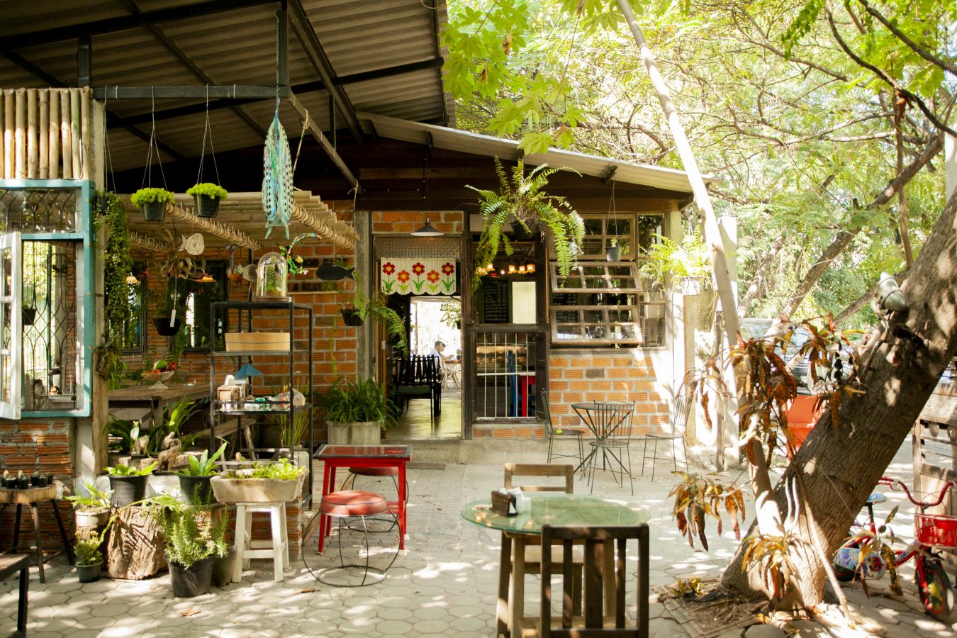 All day dining in a lovely setting Greenwood Park Café